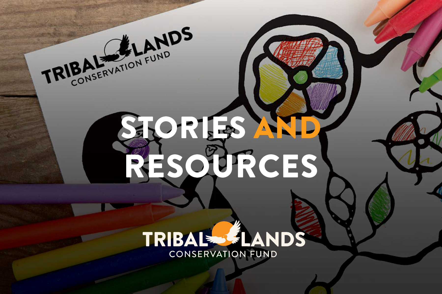 TLC Fund: Stories & Resources