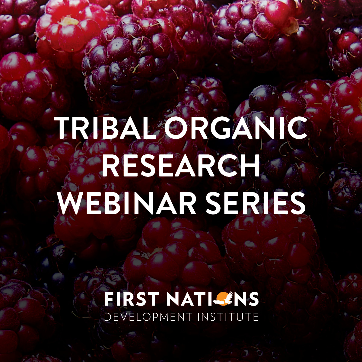 Tribal Organic Research Webinar Series
