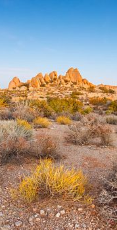 California Tribal Fund