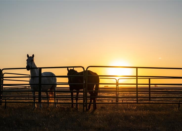 Act now on Food Safety Modernization Act regulations