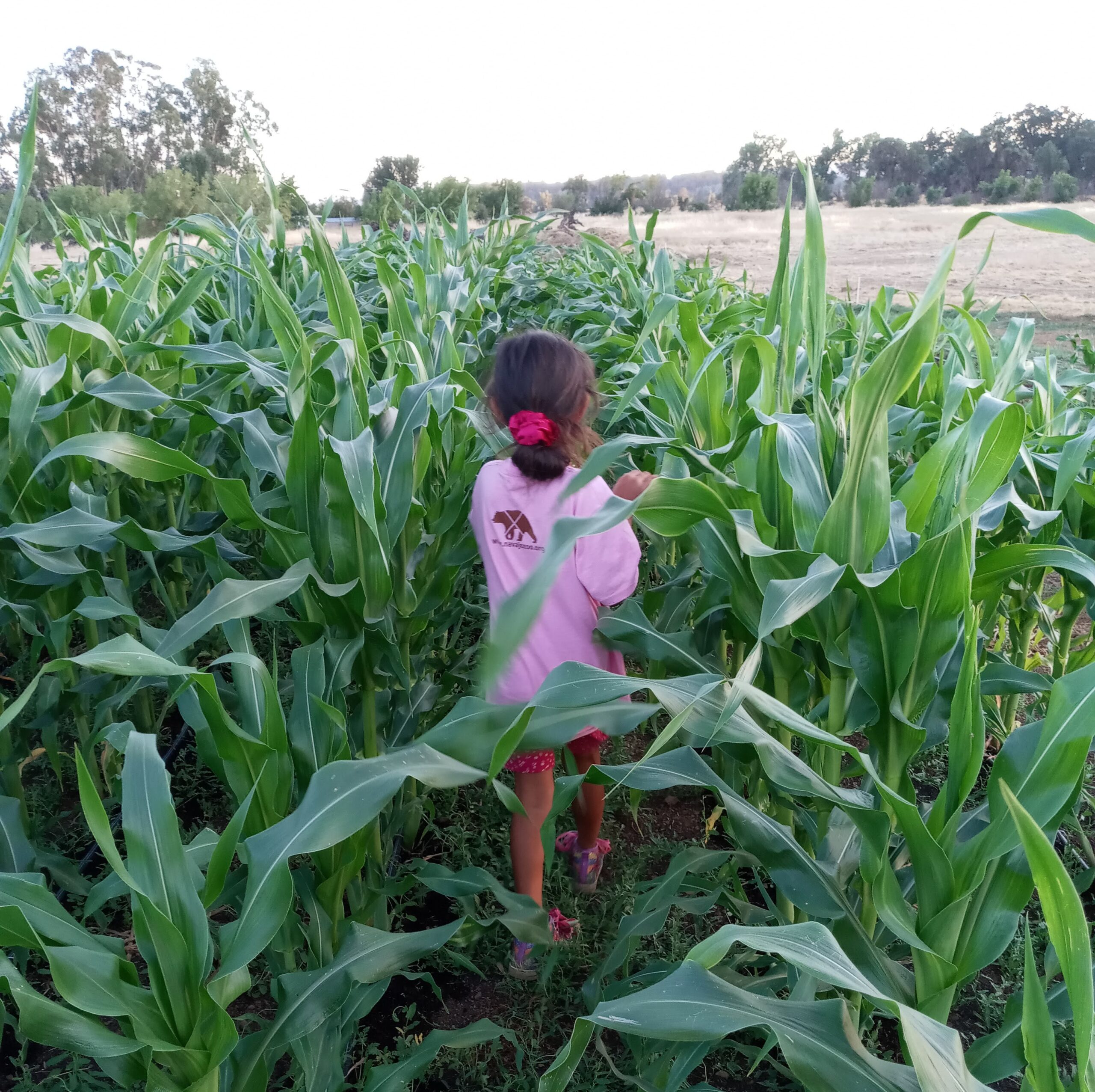 Tribal Community Food Sovereignty