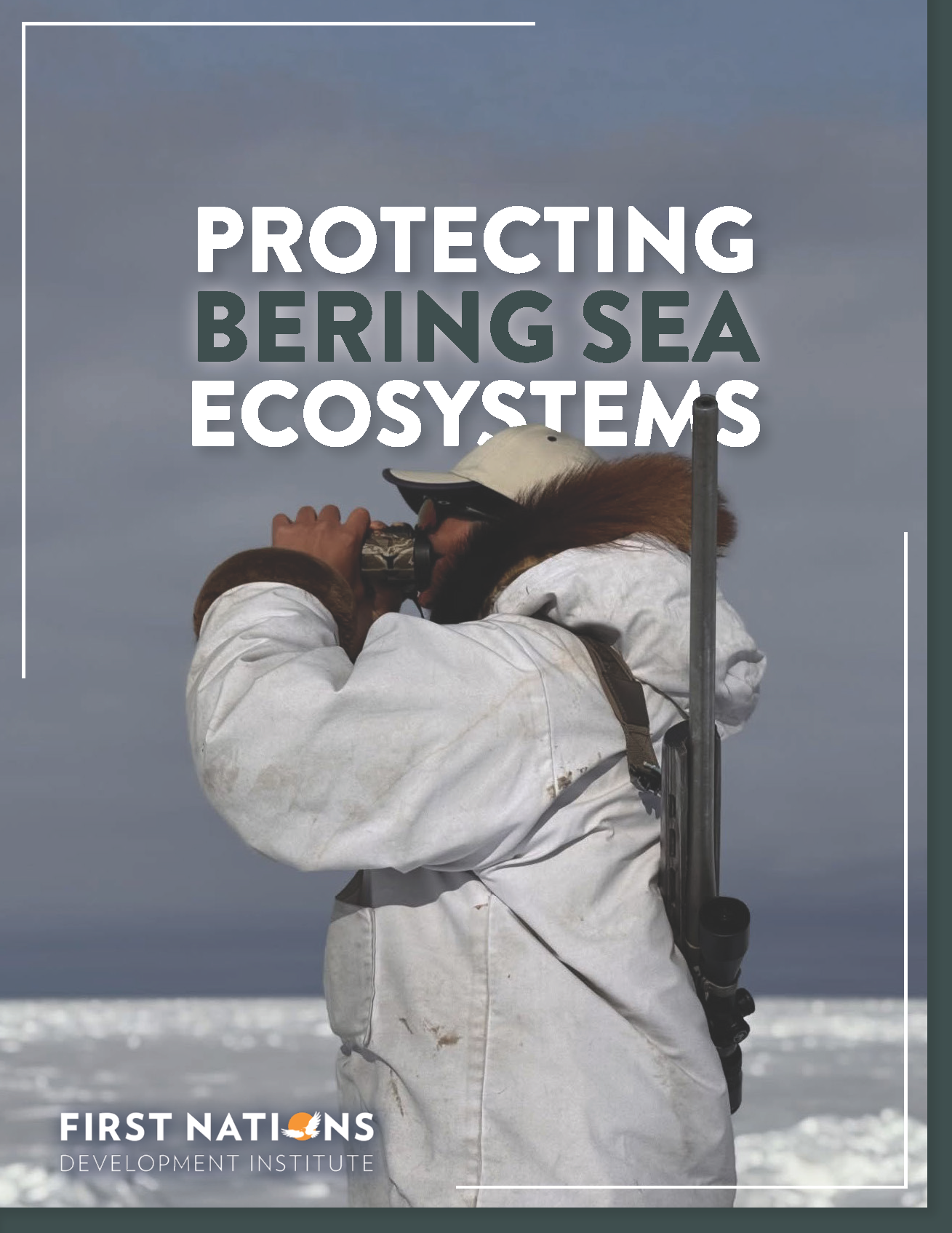 Protecting Bering Sea Ecosystems