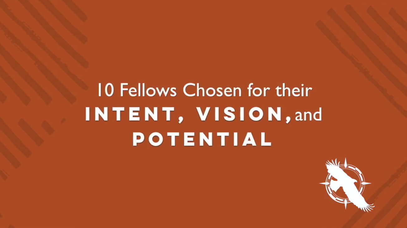 Highlights from the Inaugural Fellows