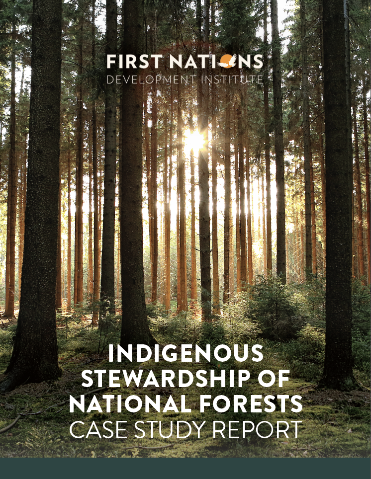 Indigenous Stewardship of National Forests Case Study Report
