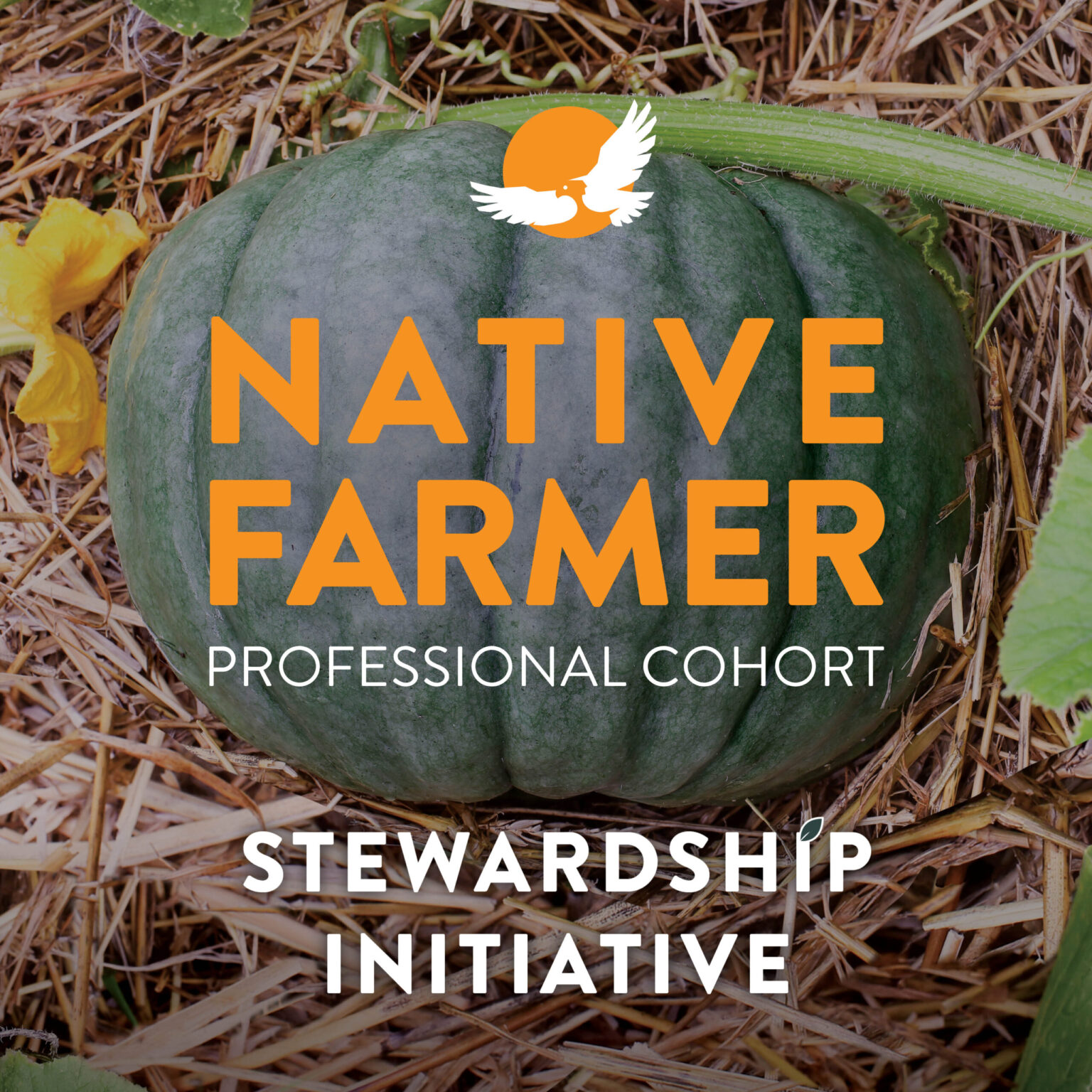 Native Farmer Professional Cohort | First Nations Development Institute