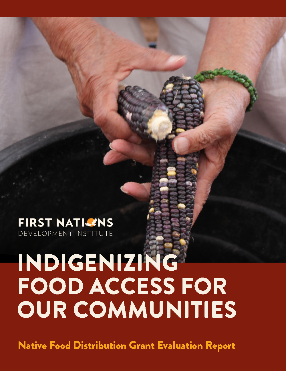 Indigenizing Food Access for Our Communities: Native Food Distribution Grant Evaluation Report