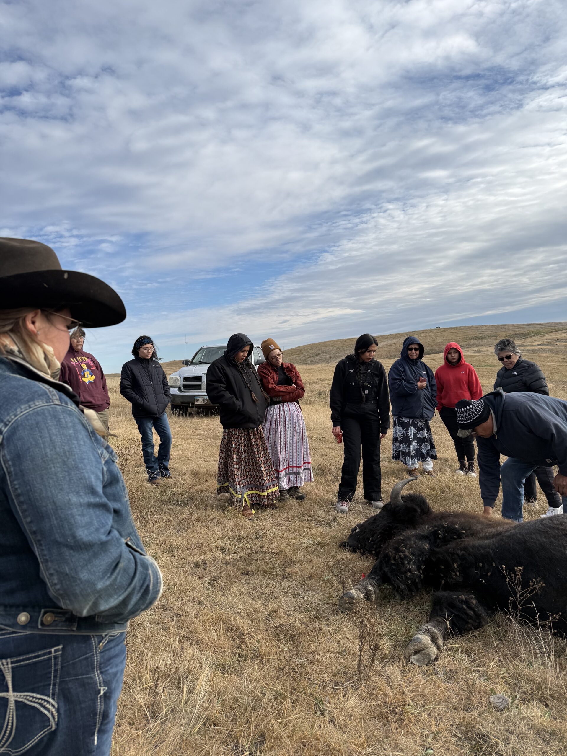 Young Women’s Buffalo Harvest: Growing a Movement of Empowering Women