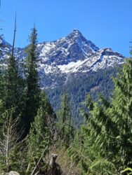 Building Tribal Capacity from East to West: Spotlight on Community Navigator Partners