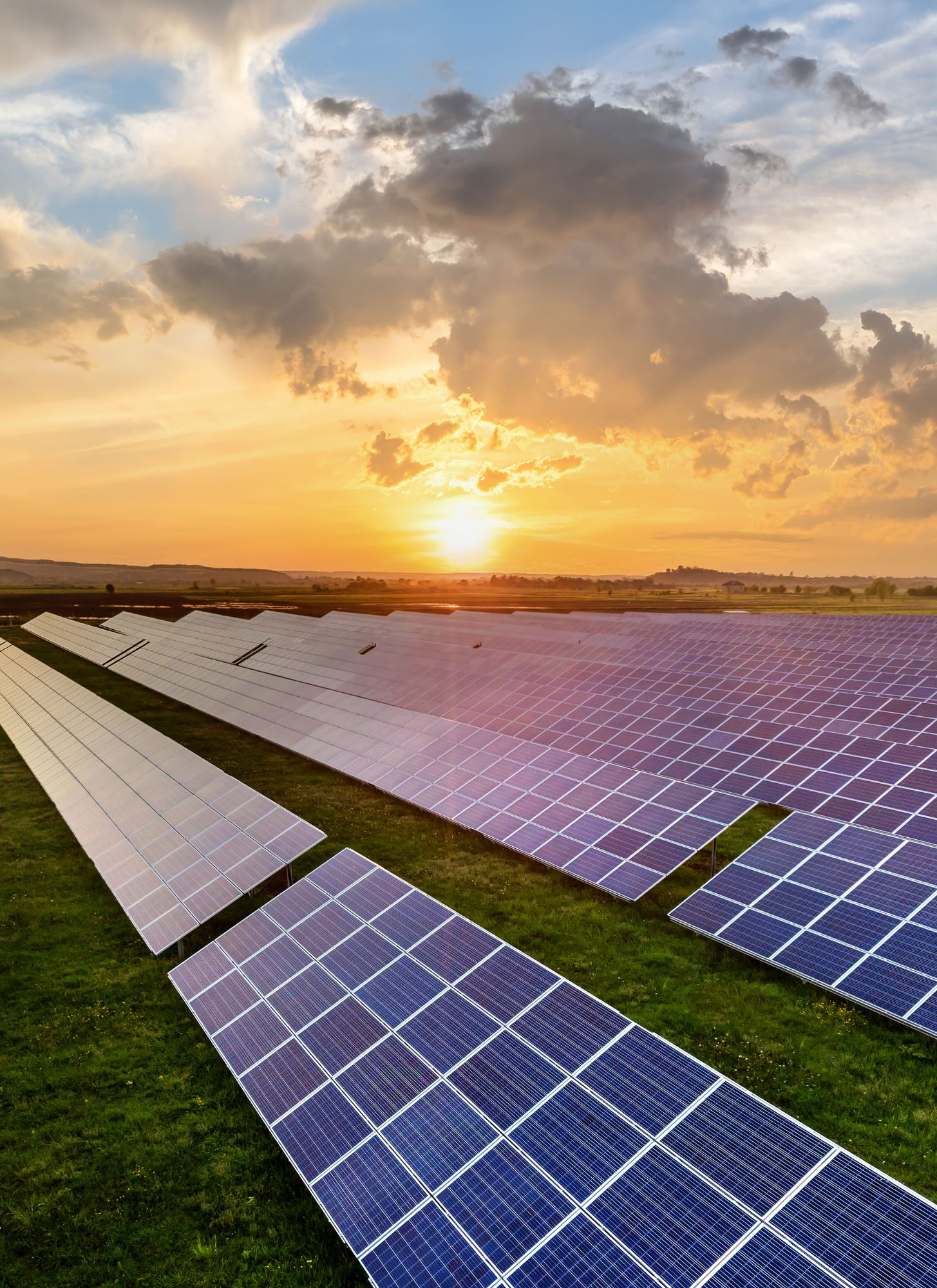 Green Economies