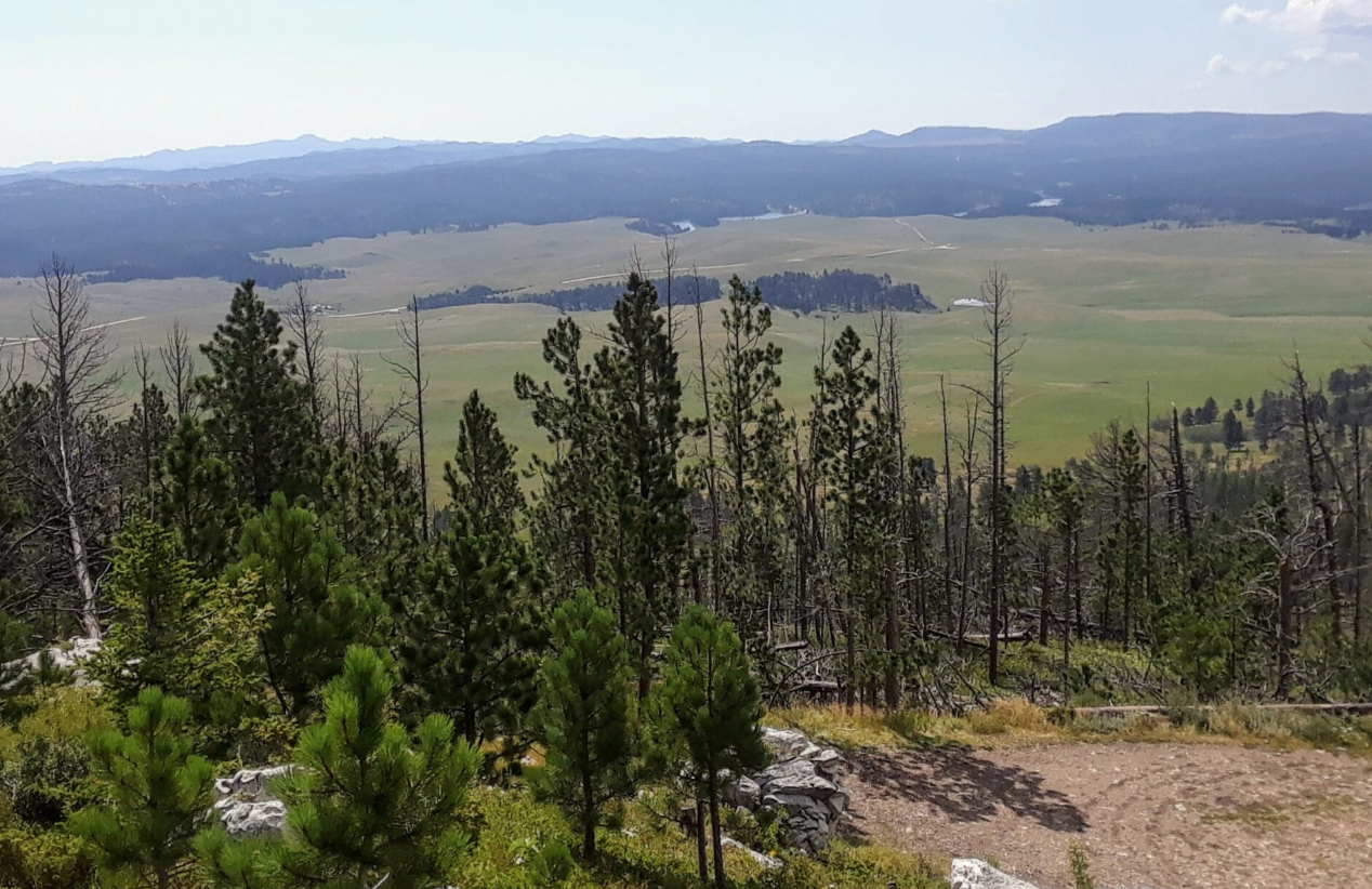 Protecting the Black Hills and Pe’Sla